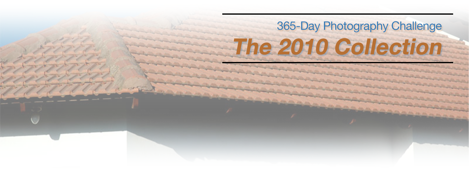 2010-photo-challenge
