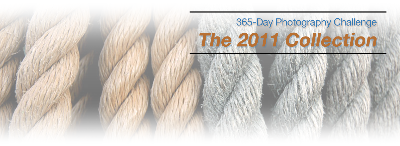 2011-photo-challenge