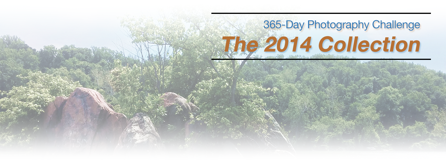 2014-photo-challenge