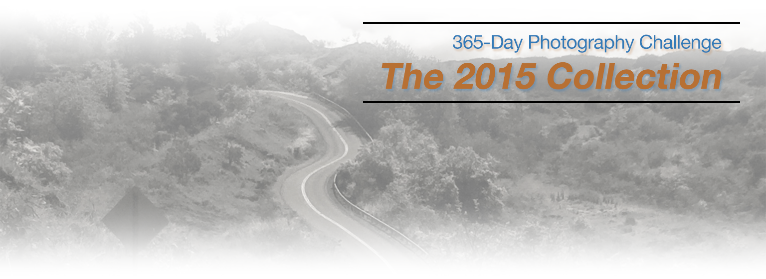 2015-photo-challenge