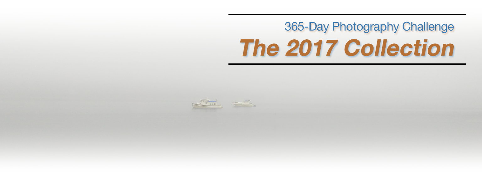 2017-photo-challenge