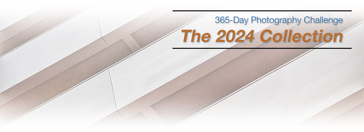 2024-photo-challenge