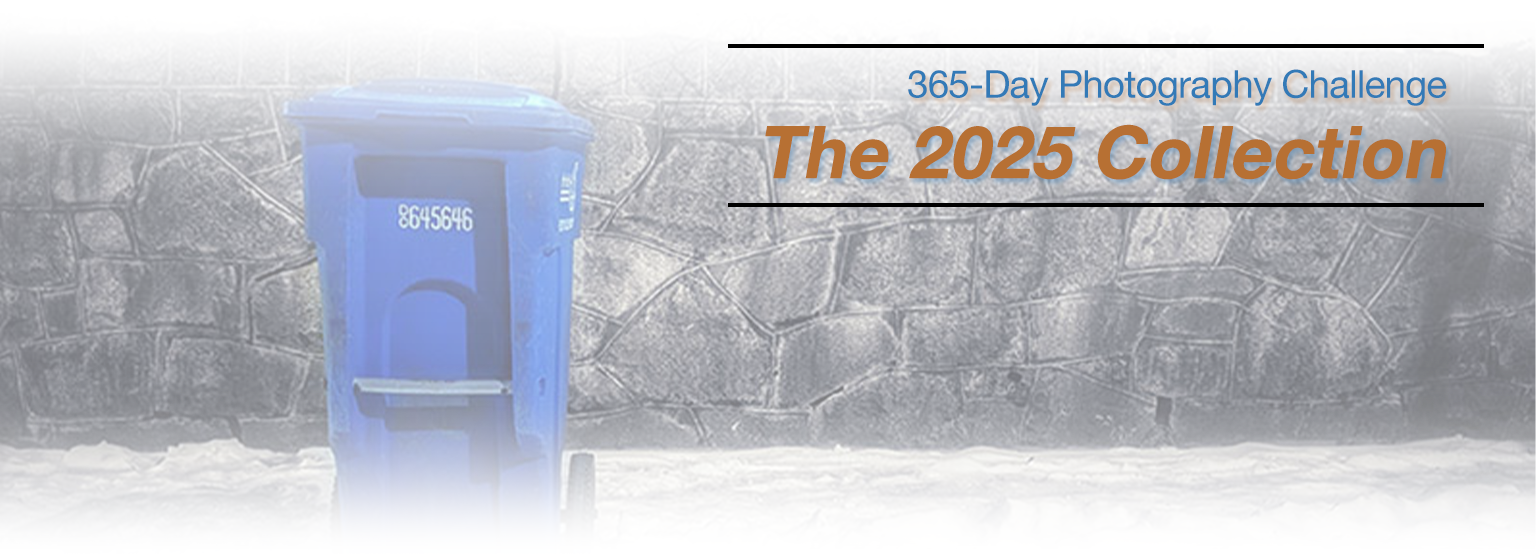 2025-photo-challenge