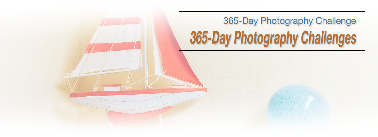 365-day-photo-challenge