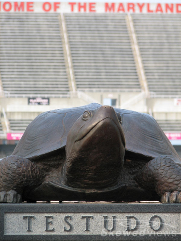 Testudo