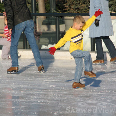 the skater