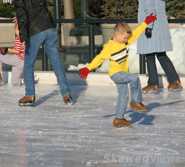 the skater