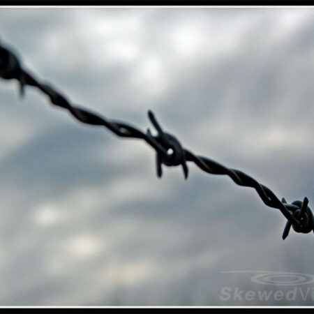 Barbed Wire against Sky