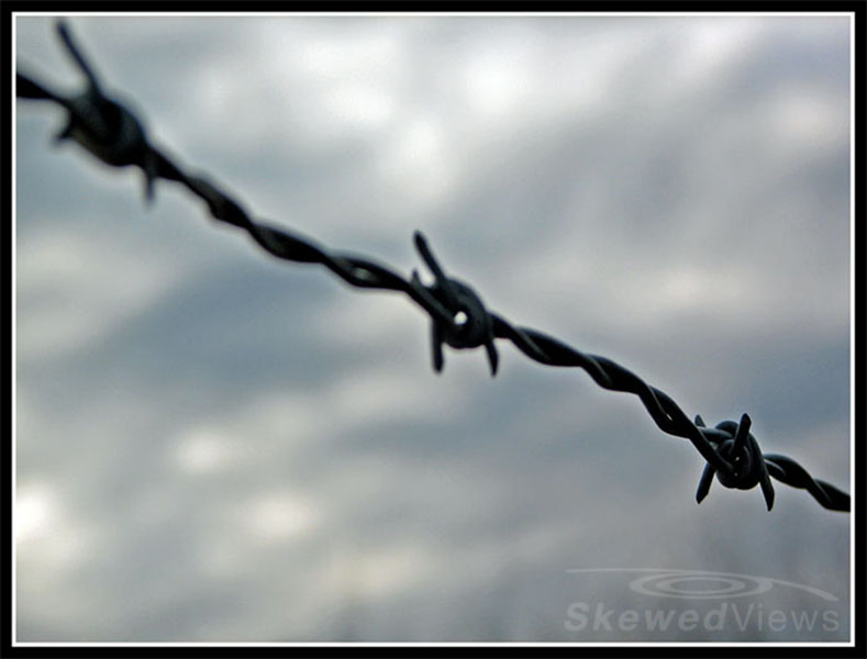 Barbed Wire against Sky