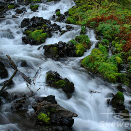 From Multnomah Falls