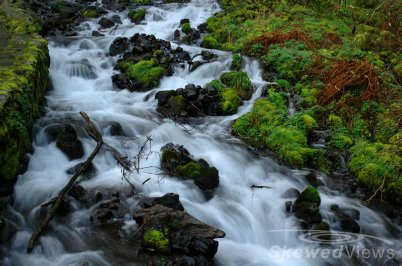 From Multnomah Falls