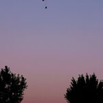 Chatfield State Park at Dusk