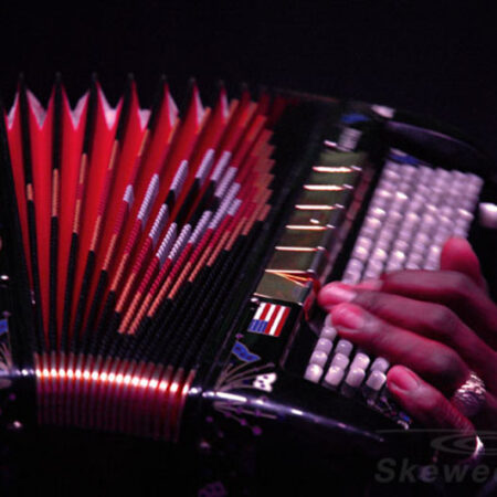 Accordionist