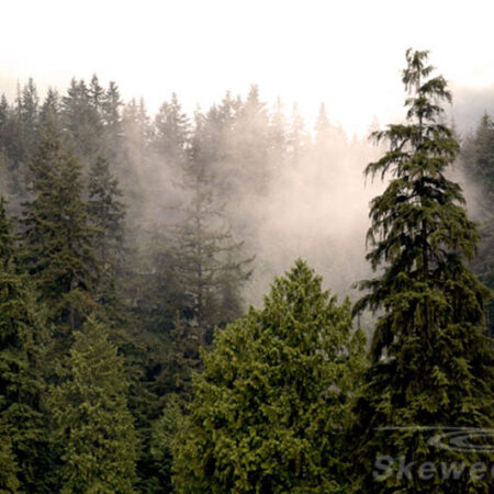 Capilano Park