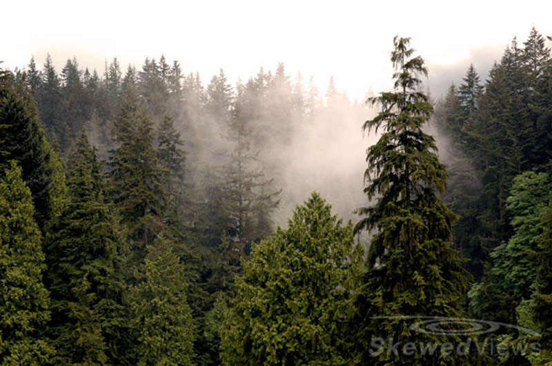 Capilano Park