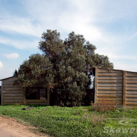 a shed on the moshav