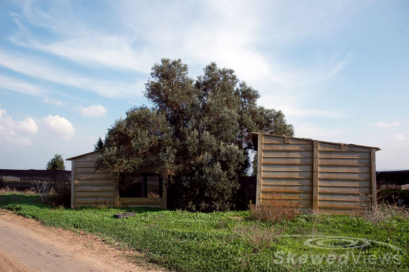 a shed on the moshav