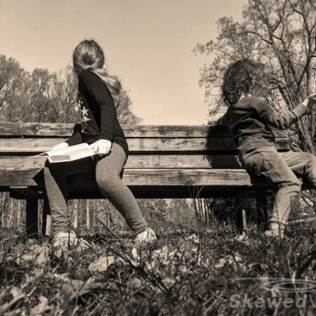 The Bench at the Park