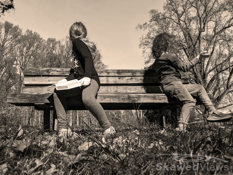 The Bench at the Park