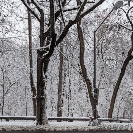 A Bike in the Snow