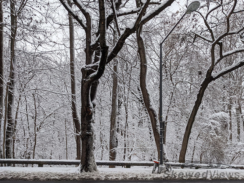 A Bike in the Snow