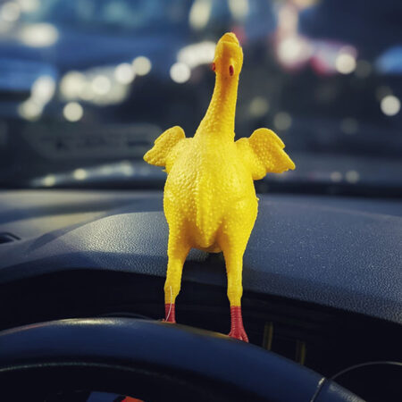 I don't care if it rains or freezes As long as I've got my...rubber chicken?