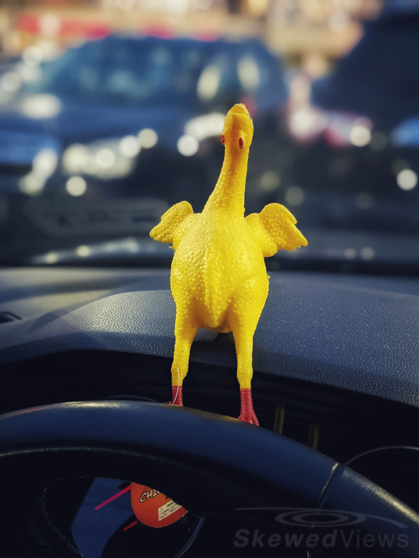 I don't care if it rains or freezes As long as I've got my...rubber chicken?