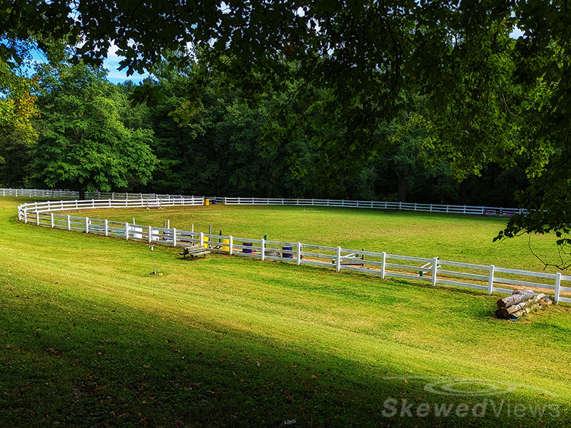 Training Ring