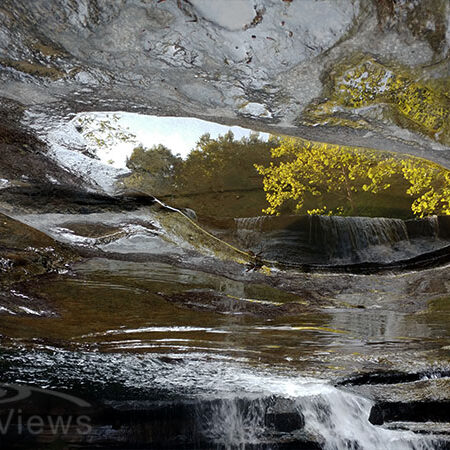 Reflections in Water