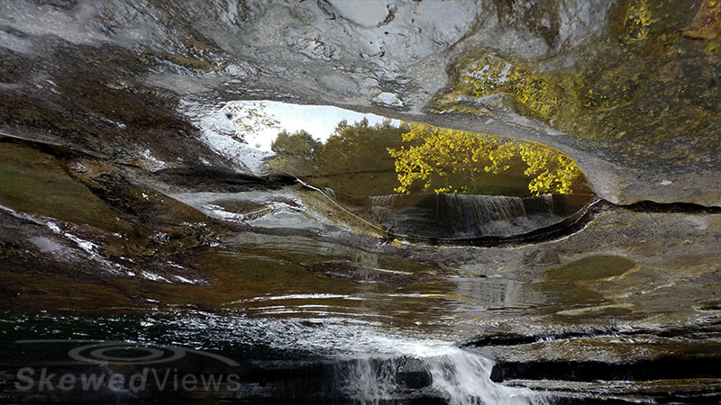 Reflections in Water