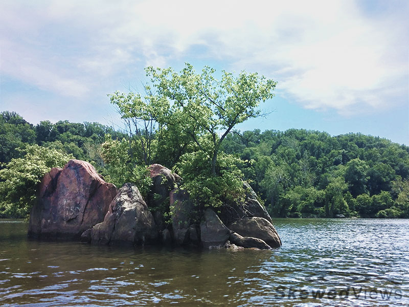 Rocks and Trees