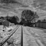 Tracks in the Snow