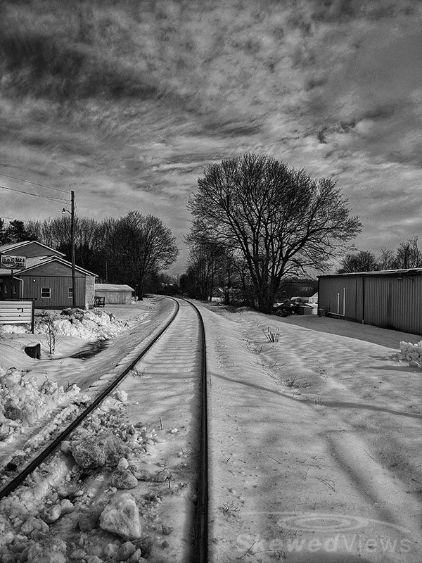 Tracks in the Snow