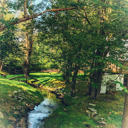 A Bridge over a Creek