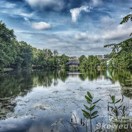 The Lake at Ramapo