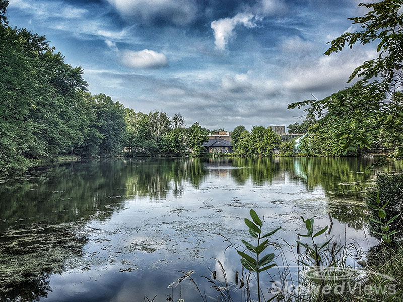 The Lake at Ramapo