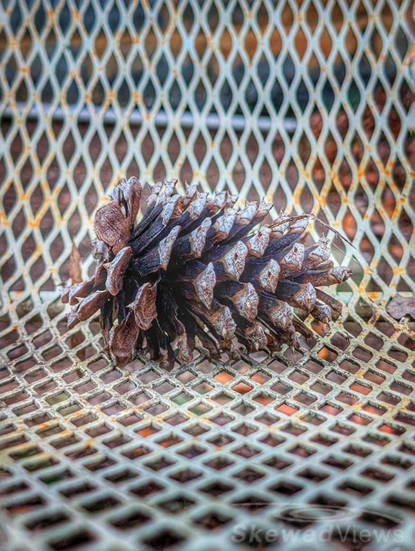 Pinecone