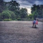 Beneath Lamenting Clouds